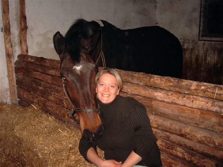 Dansk Varmblod Svante (RIP 2015) - Svante congratulating my friend on her new foal lol out in the barn billede 8