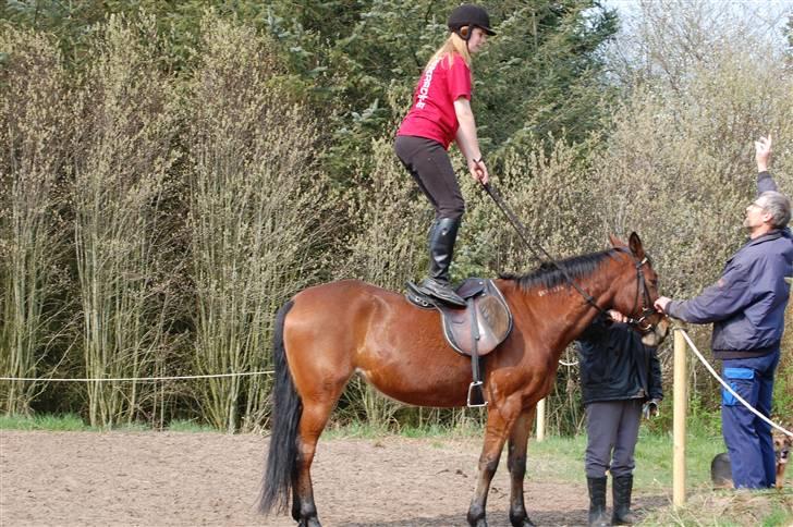 Traver Hera Waltz (SOLGT) - Vi stoler 100% på hinanden billede 18