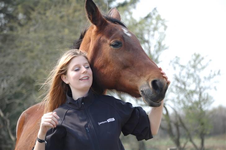 Traver Hera Waltz (SOLGT) - elsker dig min lille pony billede 20