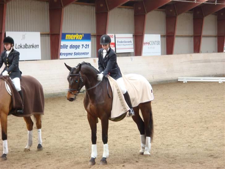Dansk Varmblod Valløs Medea - Til vores anden stævne hvor vi vandt :) billede 1
