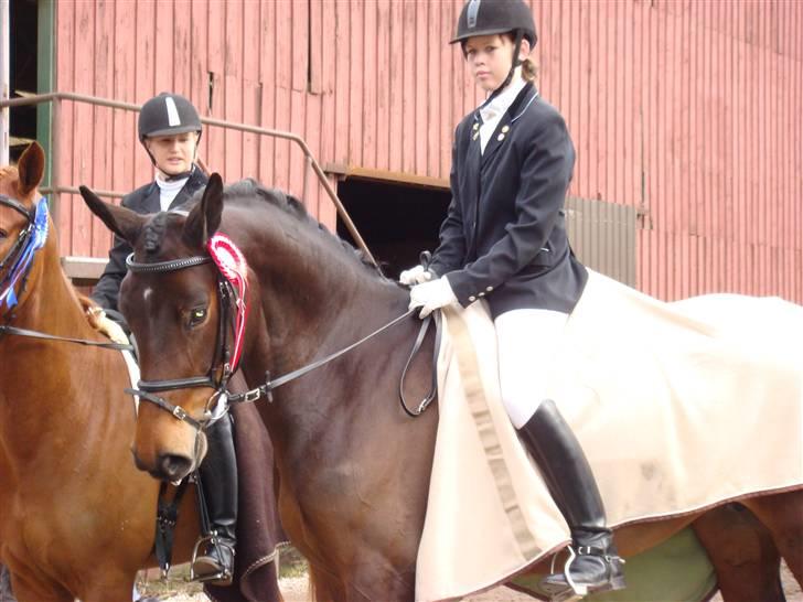 Dansk Varmblod Valløs Medea - Min smukke hest og mig billede 4