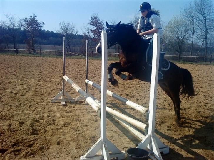 Anden særlig race Cassiopeia - jaaaaah!! billede 9