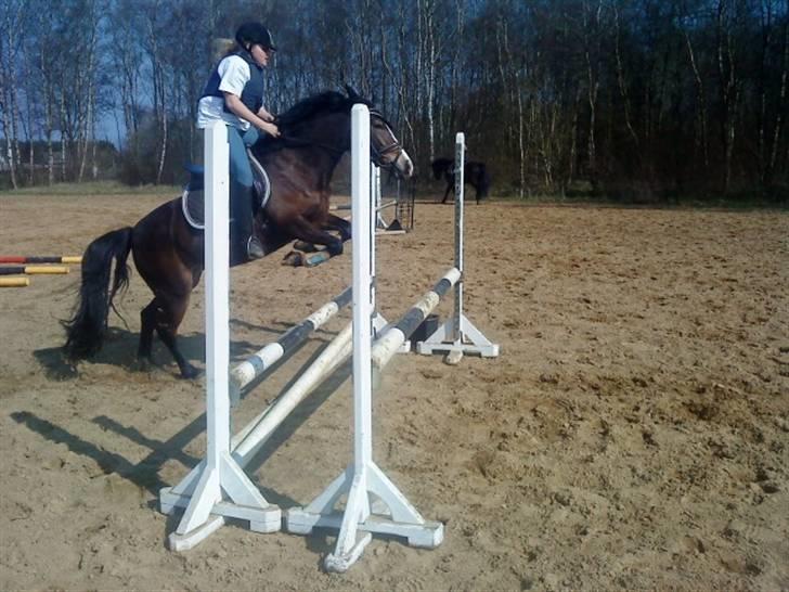 Anden særlig race Cassiopeia - spriiiiiiiiiiiiing!! billede 10