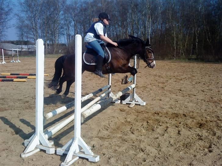 Anden særlig race Cassiopeia - Vi okser afsted!! :D billede 11