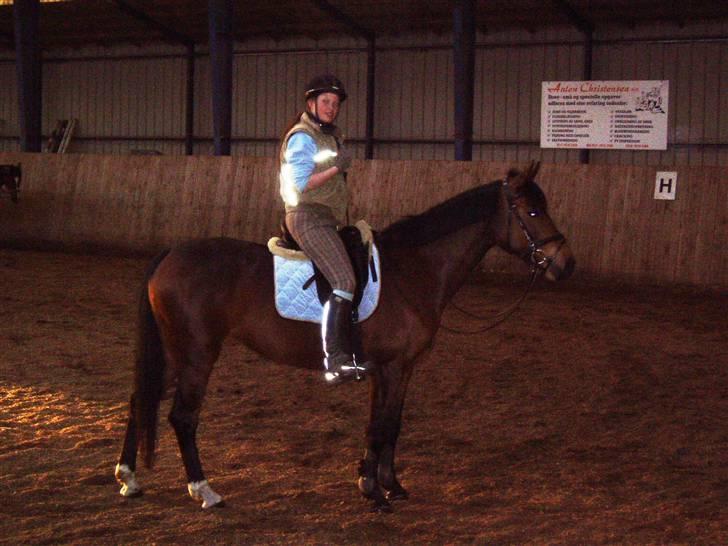 Dansk Varmblod Coffee Cup - Før træning d. 17/4-09. Unskyld mørket. billede 20