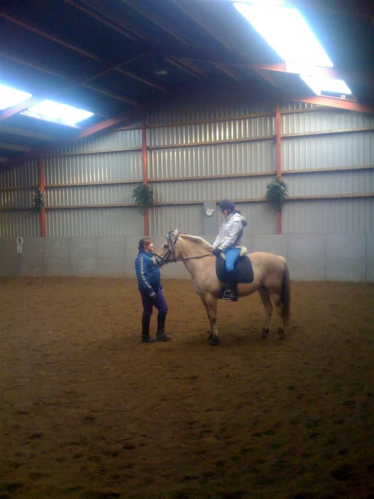 Fjordhest Columbine Bøgely - Første gang jeg prøvede tøsen. her var teamet i ½ år :) Colum&Frederikke er altså nogle søde piger! billede 20