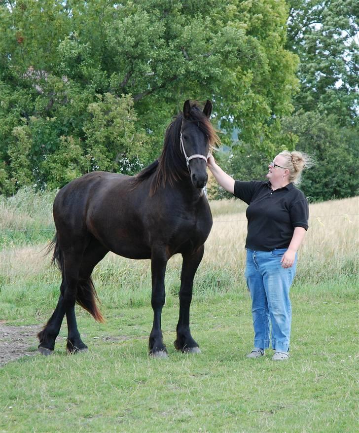 Frieser Tikki - Ogs&#229; taget af Linda. Tikki 2 &#229;r og &quot;mutter&quot;. billede 3