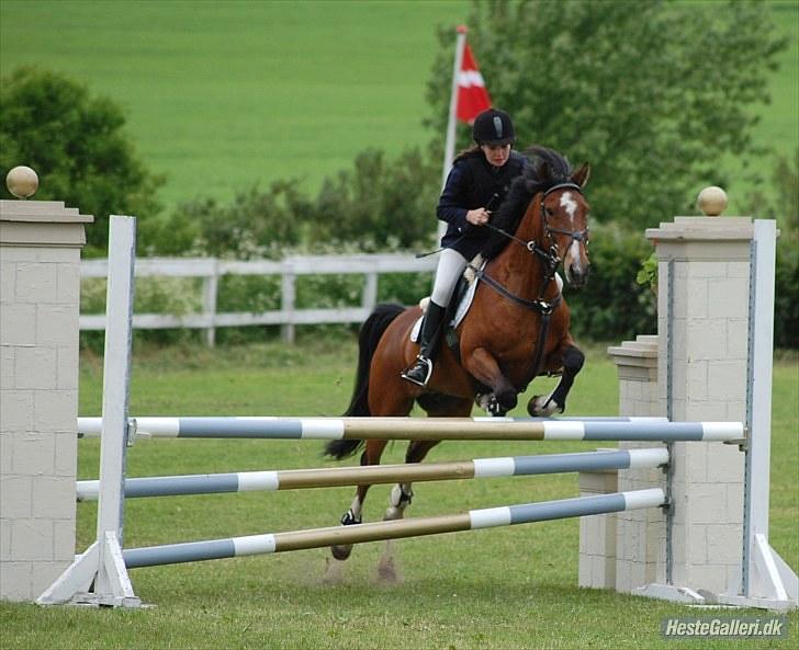 Anden særlig race Muskas - MB på SPS - juni 2010. billede 20