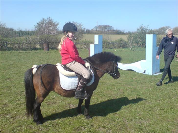 Anden særlig race sunflower - hun slapper meget af.. billede 20