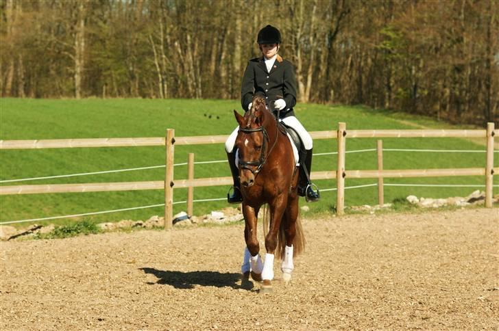 DSP Doucan [I Himlen ! :'( ] - Foto benita R billede 3