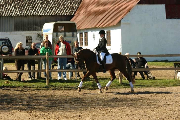 DSP Doucan [I Himlen ! :'( ] billede 4