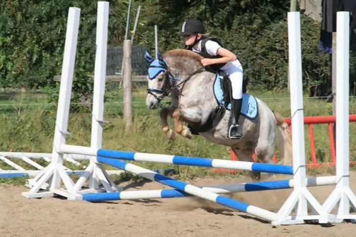 Anden særlig race | Victor. - Mig og victor til springstævne 2009 billede 4