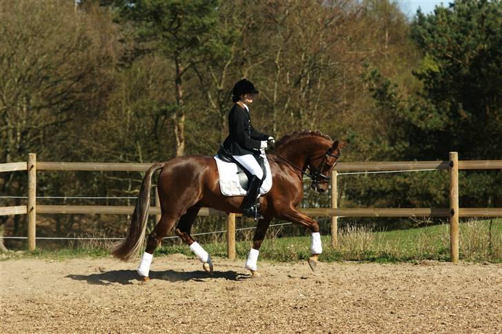 DSP Doucan [I Himlen ! :'( ] billede 9