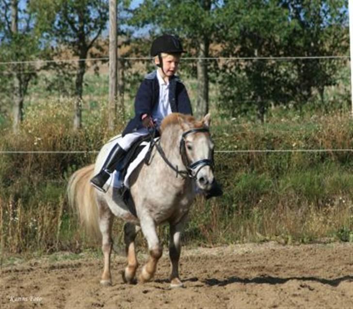 Anden særlig race | Victor. - Mie og victor til stævne 09  Foto: Karins Foto billede 9