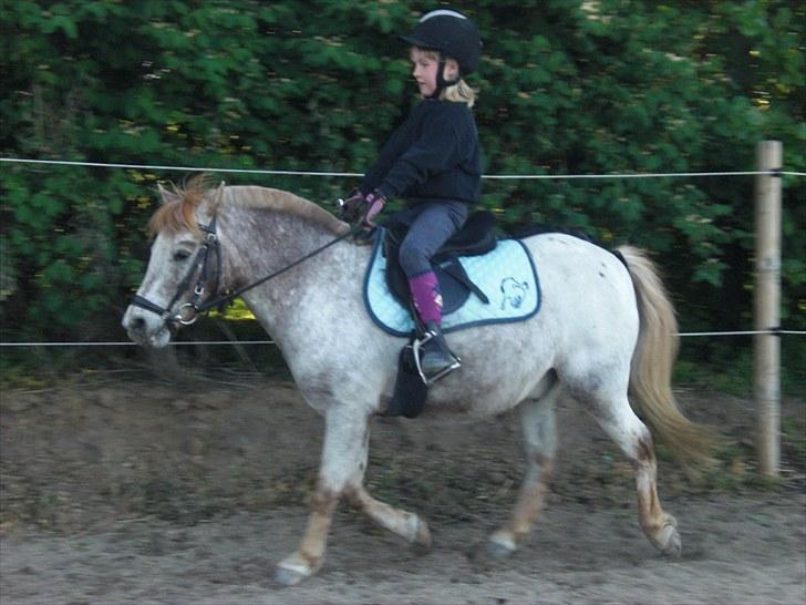 Anden særlig race | Victor. - Mie øver sig i ned sidning billede 10