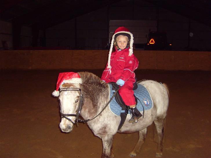 Anden særlig race | Victor. - Julehygge 2008 billede 12