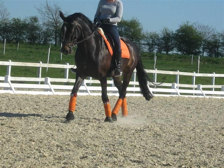 Holstener Clarissa R.I.P elsker dig billede 16