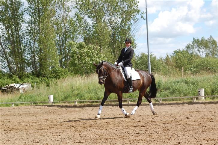 Holstener Clarissa R.I.P elsker dig billede 17