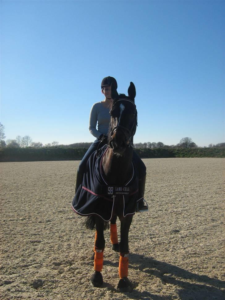 Holstener Clarissa R.I.P elsker dig billede 18