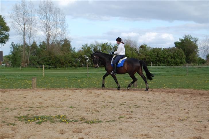 Holstener Clarissa R.I.P elsker dig billede 19