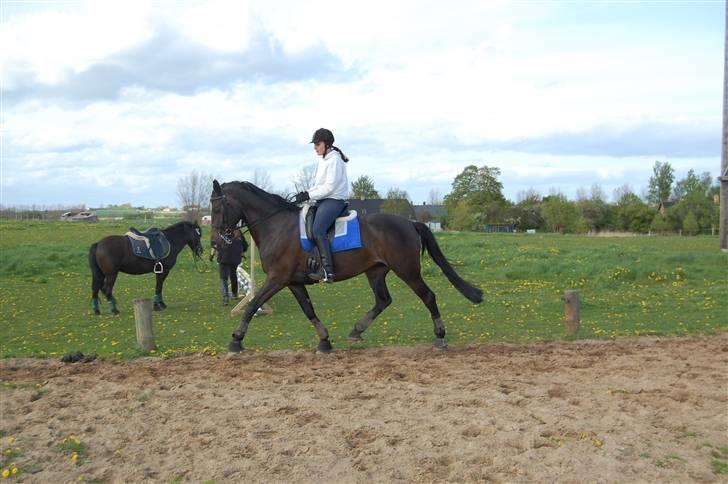 Holstener Clarissa R.I.P elsker dig billede 20