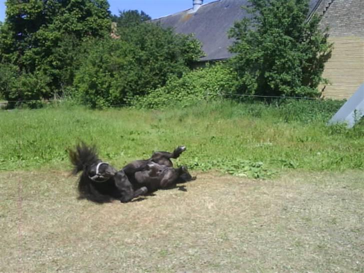 Miniature Skipper! R.I.P SAVNET!:'( - Jeg elsker bare det her! billede 13