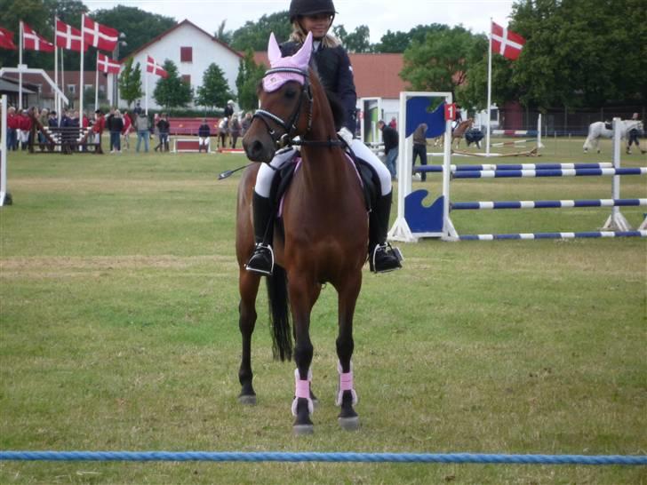 Welsh Pony (sec B) Wanda solgt :´( billede 19