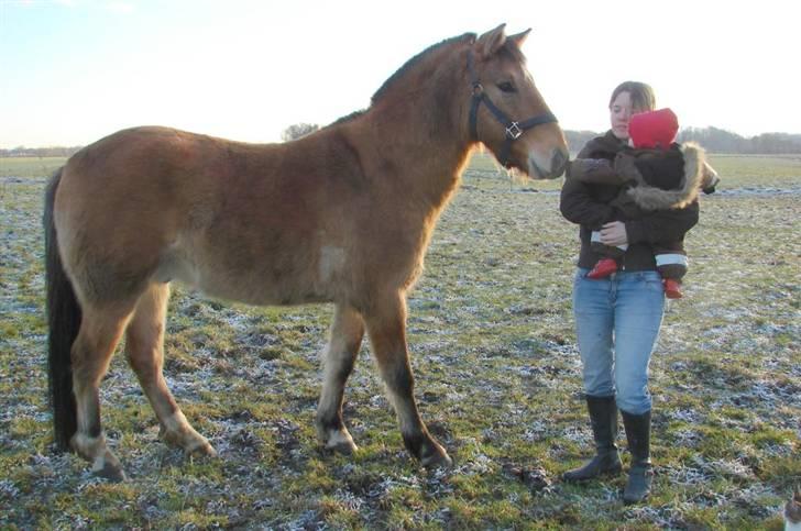 Anden særlig race Julie - Tyran, Gitte og hendes datter billede 18