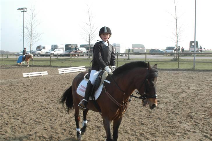 New Forest Sandie Ladager  - Jaah, vi havde glemt næstebåndet :-( billede 6