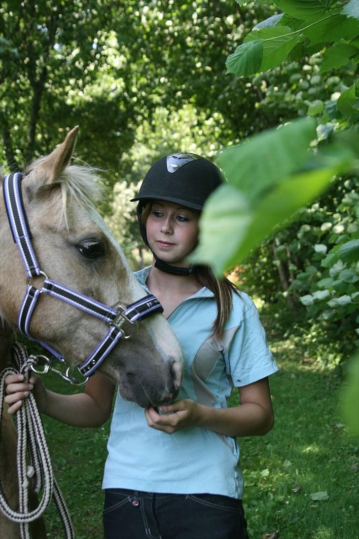 Palomino Nathalie *solgt* gl. part - I miss your cuddles, I miss your kisses, but most of all, I miss you. The love i have, will never change, as each day goes by, I will love you till the day i die!<3 billede 17