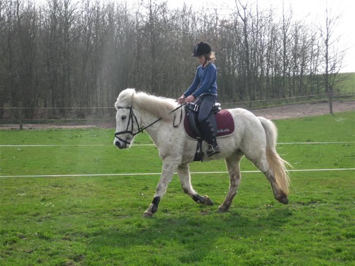 Islænder BLEIKALÁ FRA MALLE - Fordi du altid har mit hjerte med.. <3 billede 9