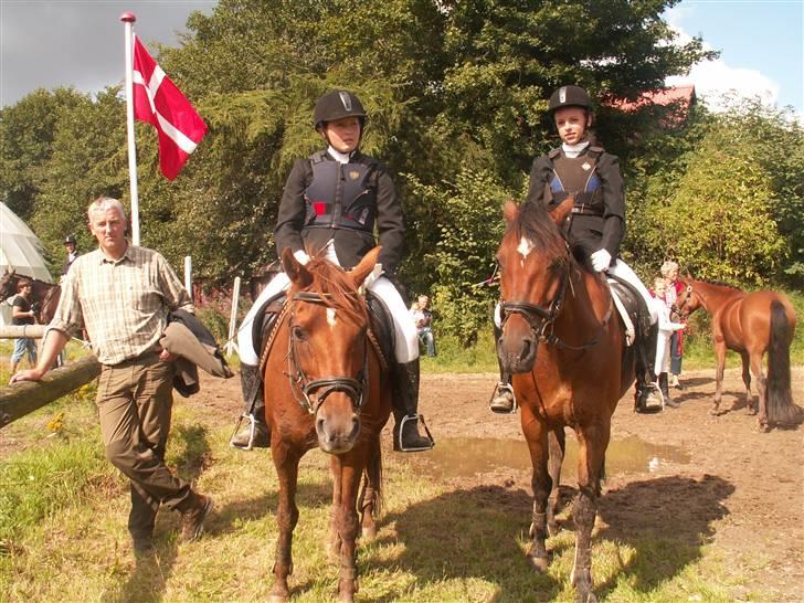 Welsh Cob (sec D) Waardhoeve's ilona *LÅNTE* - mig på maggie og maja på fiégo - i struer billede 11