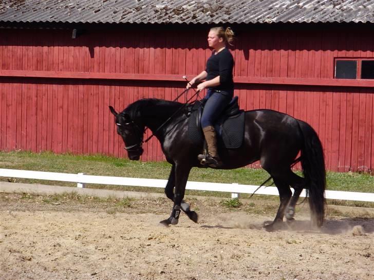 Oldenborg mitzi af østmark billede 15