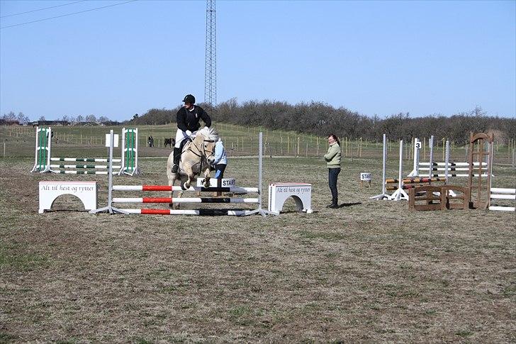 Fjordhest Luffe - stævne i 2010 billede 8