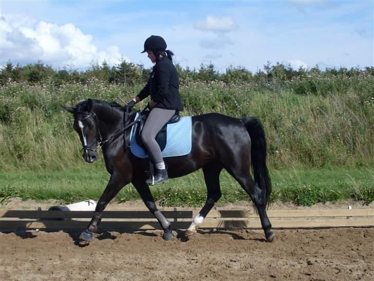 Anden særlig race DONNA - BABY <3 REDET - min prinsesse donna! billede 11