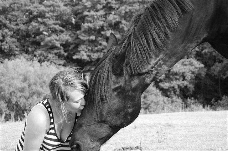 Anden særlig race Shadow - Et kys til den jeg elsker. (også klikkertræning.) Fotograf: Signe Kieler. billede 13