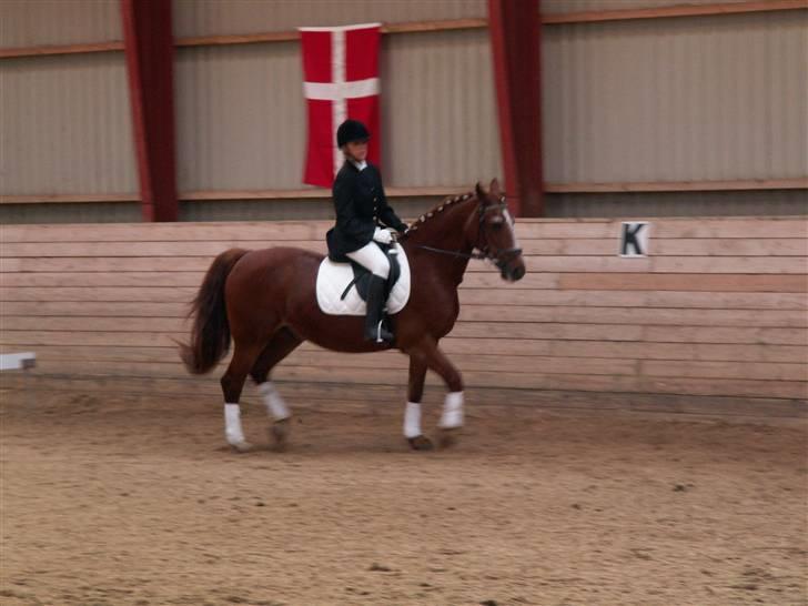 Anden særlig race Valentin - Klubmesterskab 2009! red til 60% og fik en 2. plads!Var PAVESTOLT!<33 billede 6