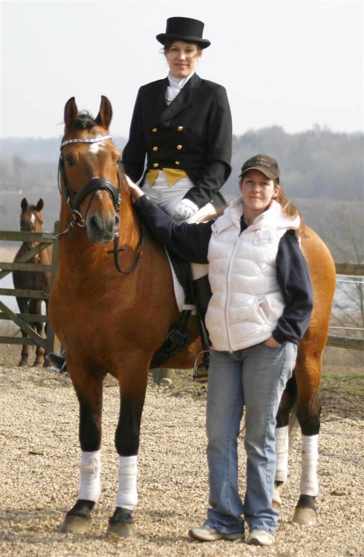 New Forest Horsemosens Navarone NFHR 92 - Hingstedag viborg 2009  sammen med camilla ejeren Taget af Anita Rimestad billede 18