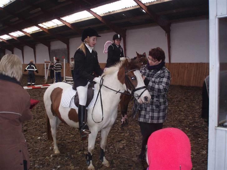 Anden særlig race Tøsen Red SOLGT. <3 - Fordi du vandt 1 pladsen til vores første stævne sammen<3 billede 6