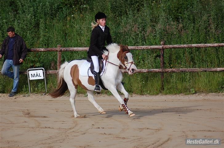 Anden særlig race Tøsen Red SOLGT. <3 - Stævne i KOOR <3 billede 10