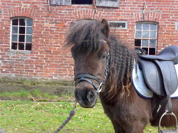 {{currentPhoto.altText}} billede {{currentPhoto.number}}