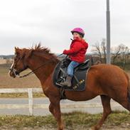 DSP tai tatika -tidliger part