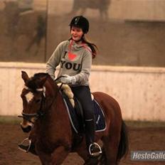 Anden særlig race Komet