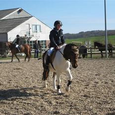 Anden særlig race Klokke Blomst 