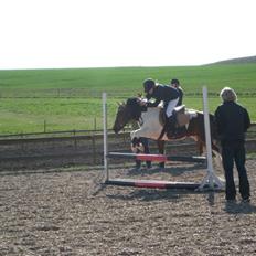 Anden særlig race Klokke Blomst 