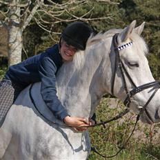Anden særlig race Silver SOLGT!