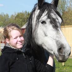 Anden særlig race Blue Silky Walker