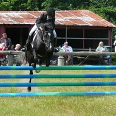 Anden særlig race  - Misja (SOLGT)