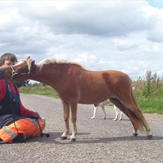 Dansk Miniature Kom - Izza of Eagle R.I.P