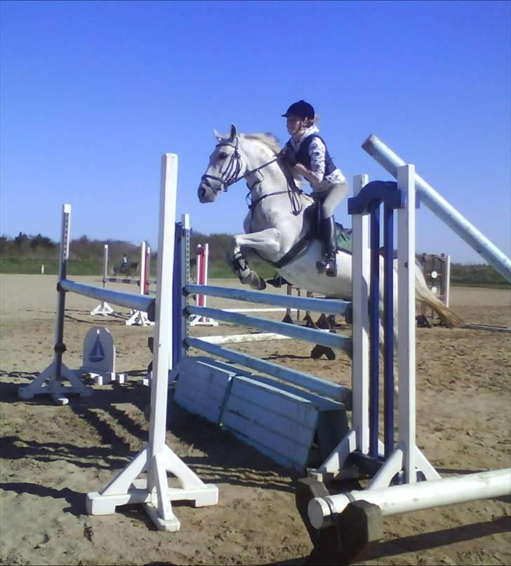 DSP STAR {b-pony} - <3 billede 12